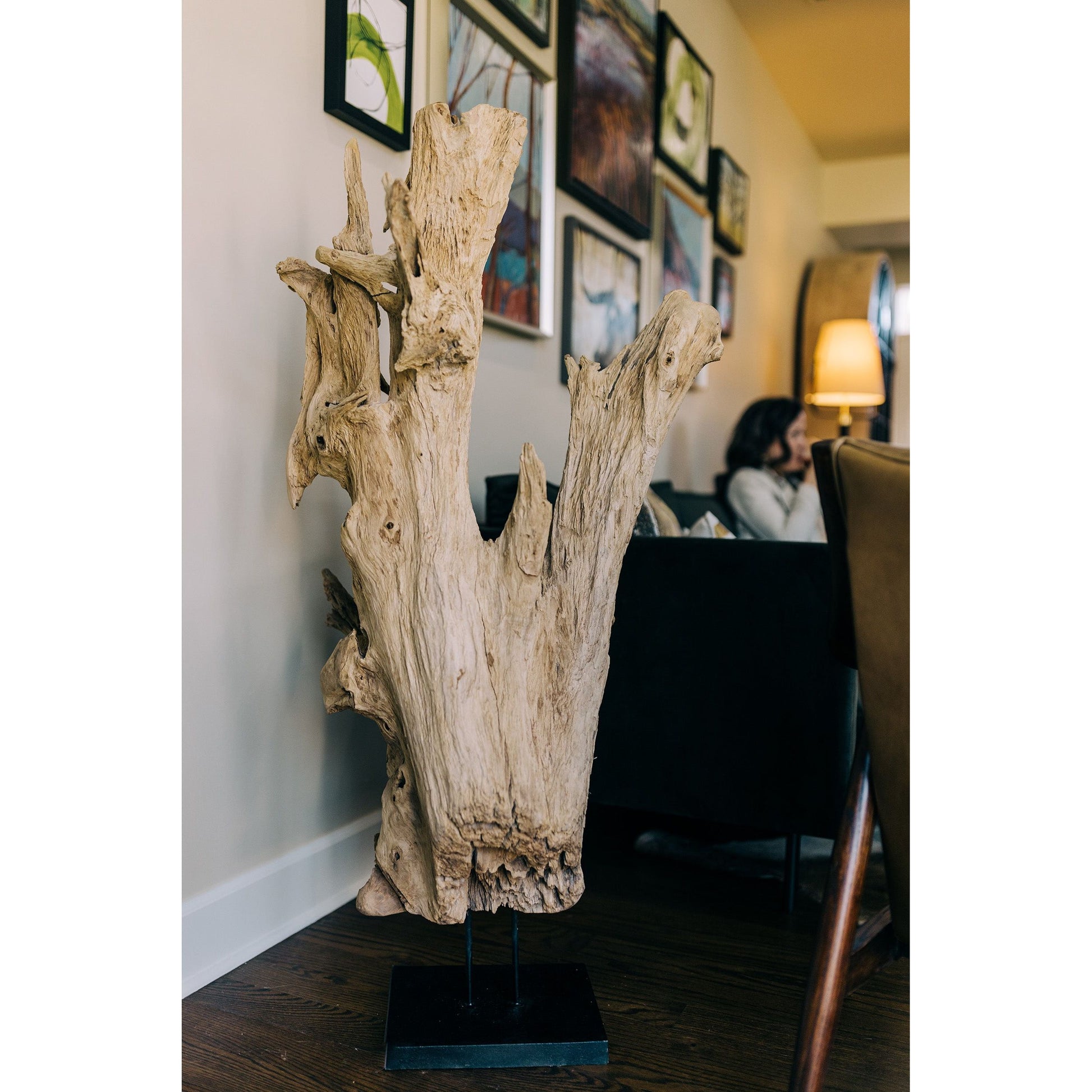 A Driftwood Erosion Wood Sculpture, reminiscent of eroded driftwood with a natural, intricate design, stands on a black pedestal base against a wall. In the background, an individual with long hair sits on a black couch. The wall behind them is adorned with various framed artworks. The floor is wooden.