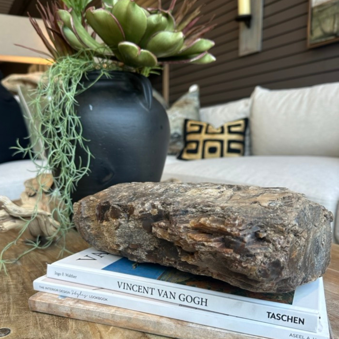 A rustic wooden table showcases the Petrified Wood Relic atop three art books, one titled "VINCENT VAN GOGH." Behind them, a black vase with green succulents stands, with a couch and patterned pillows softly blurred in the background.