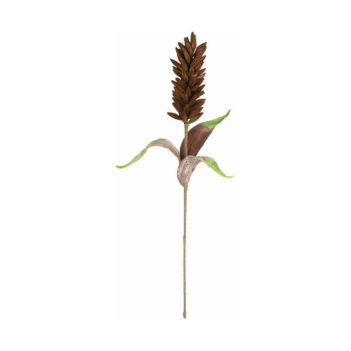 Pineapple Lily Botanica (3358)