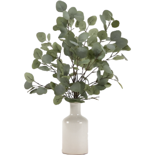 Eucalyptus in Ceramic Bottle