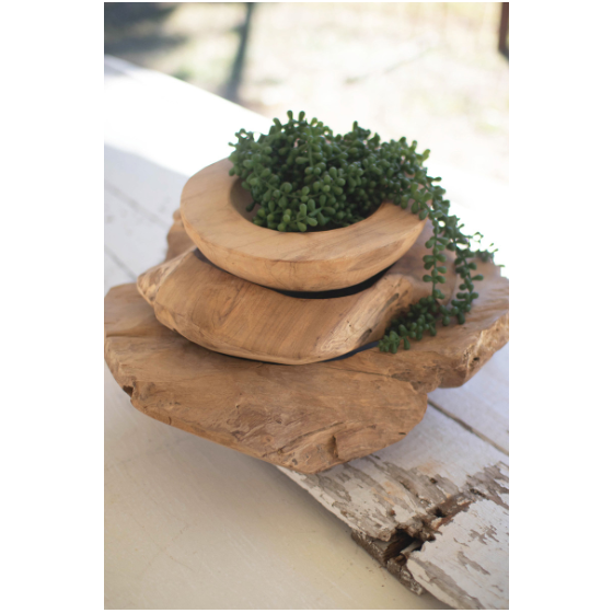 A wooden, multi-tiered planter holds a thick, cascading succulent with small round leaves. The Isla Teak Bowl, resembling unfinished teak bowls, has three circular wooden slabs with a light finish and is placed on a rustic wooden surface, with sunlight casting soft shadows. The background is slightly blurred.