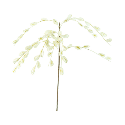 Fronds Drape Botanica
