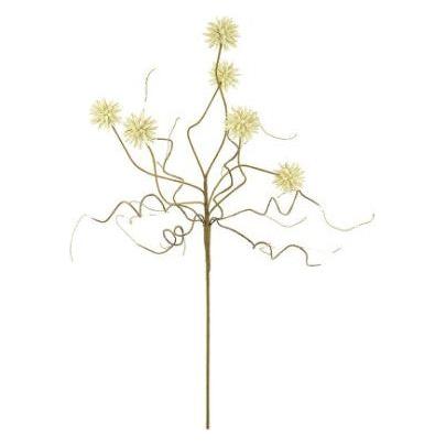 Botanica (344)