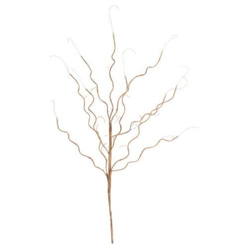 Twiggy Botanica (773)