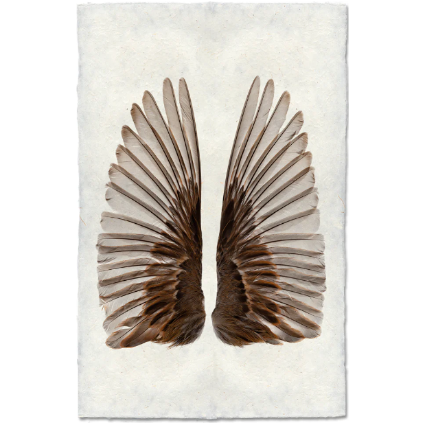 The "Sparrow Wings" product showcases a symmetrical pair of bird wings against textured handmade Nepalese paper, featuring dark feathers with lighter tips in a fan-like arrangement, evoking balance and natural elegance.