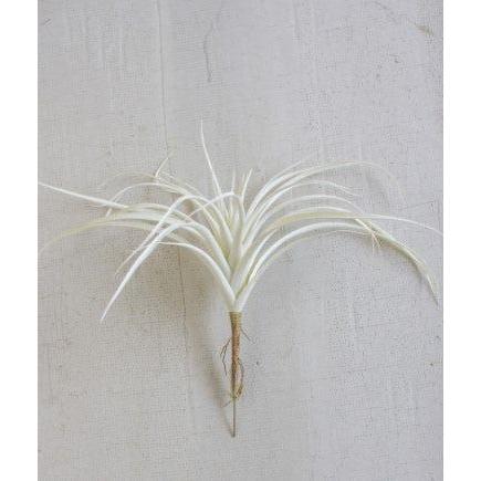 White Air Plant