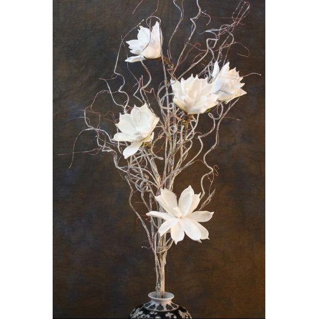 Foam Flower