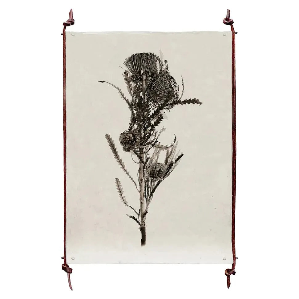 A black-and-white illustration of a thistle flower is centered on beige paper with a rough texture. The art is displayed using Frameless Leather/Steel Hangers, contributing to a vintage, handcrafted appearance without damaging the paper for preservation.