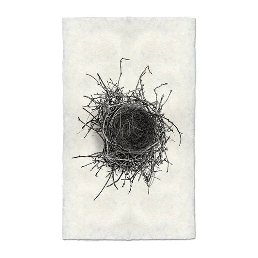 Nest (2)