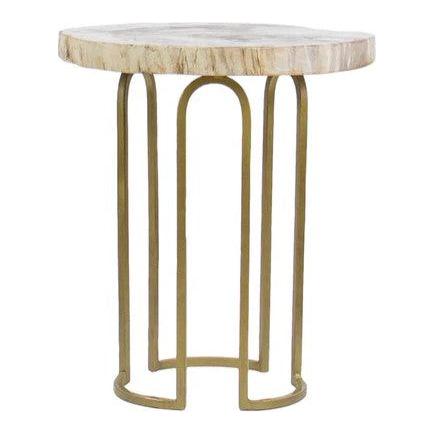 Petrified Wood Side Table