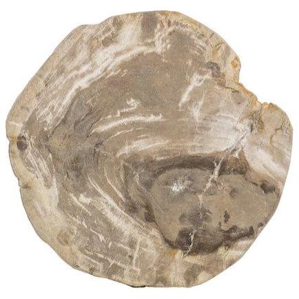 Petrified Wood Side Table