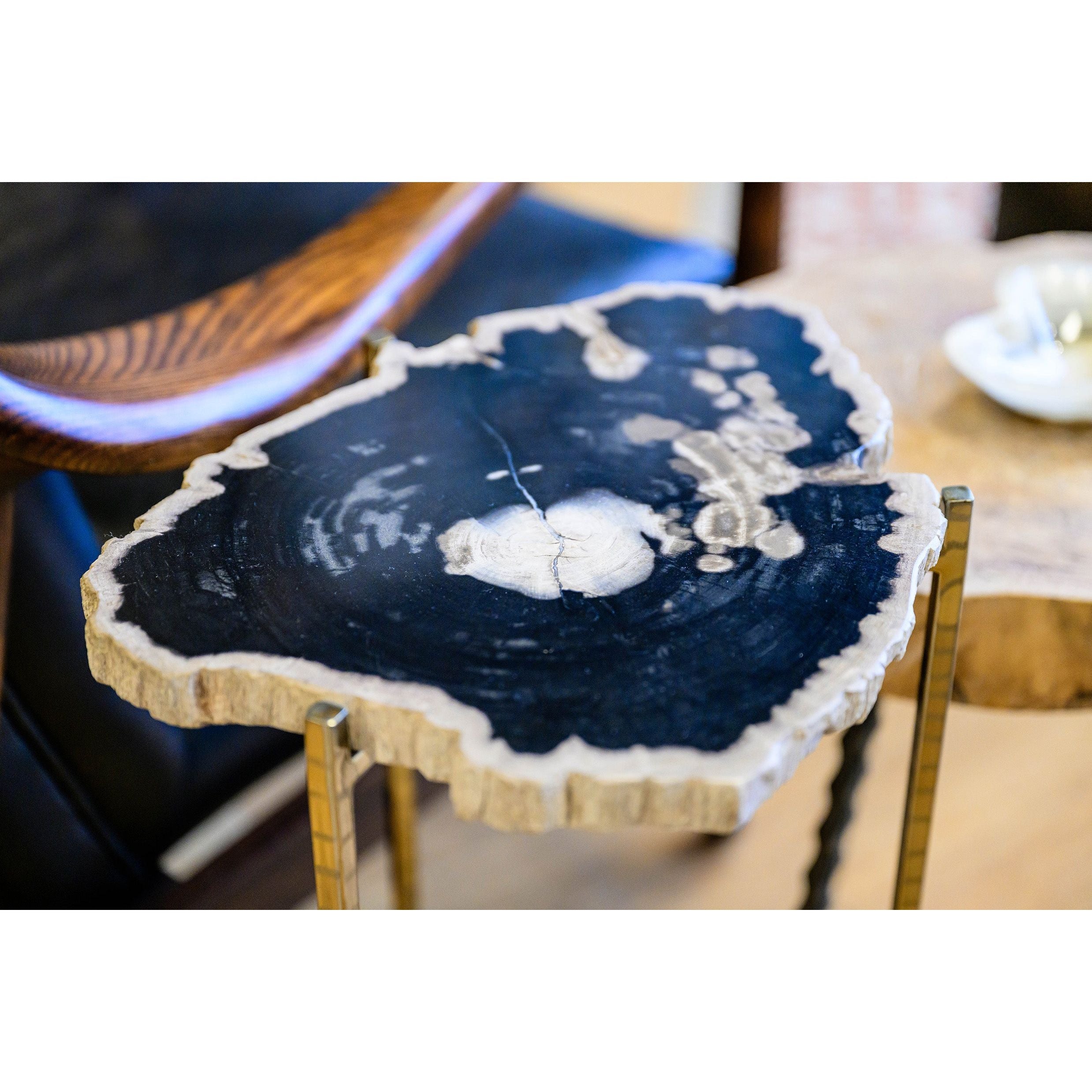 A close-up of the Petrified Wood Martini Table reveals its thick, irregular black top with natural patterns and a wavy edge. Slender gold legs elevate its elegance, complementing wooden furniture in a cozy indoor space.