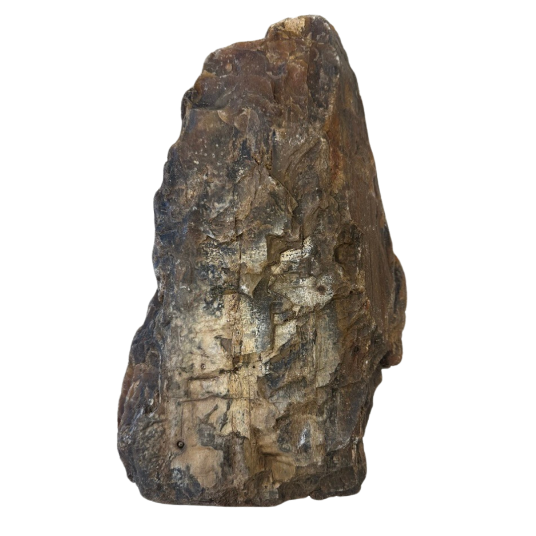 The Petrified Wood Relic stands upright, highlighting its natural beauty with an irregular shape. Shades of brown, beige, and gray blend with textured striations and layers, all set against a plain white background.