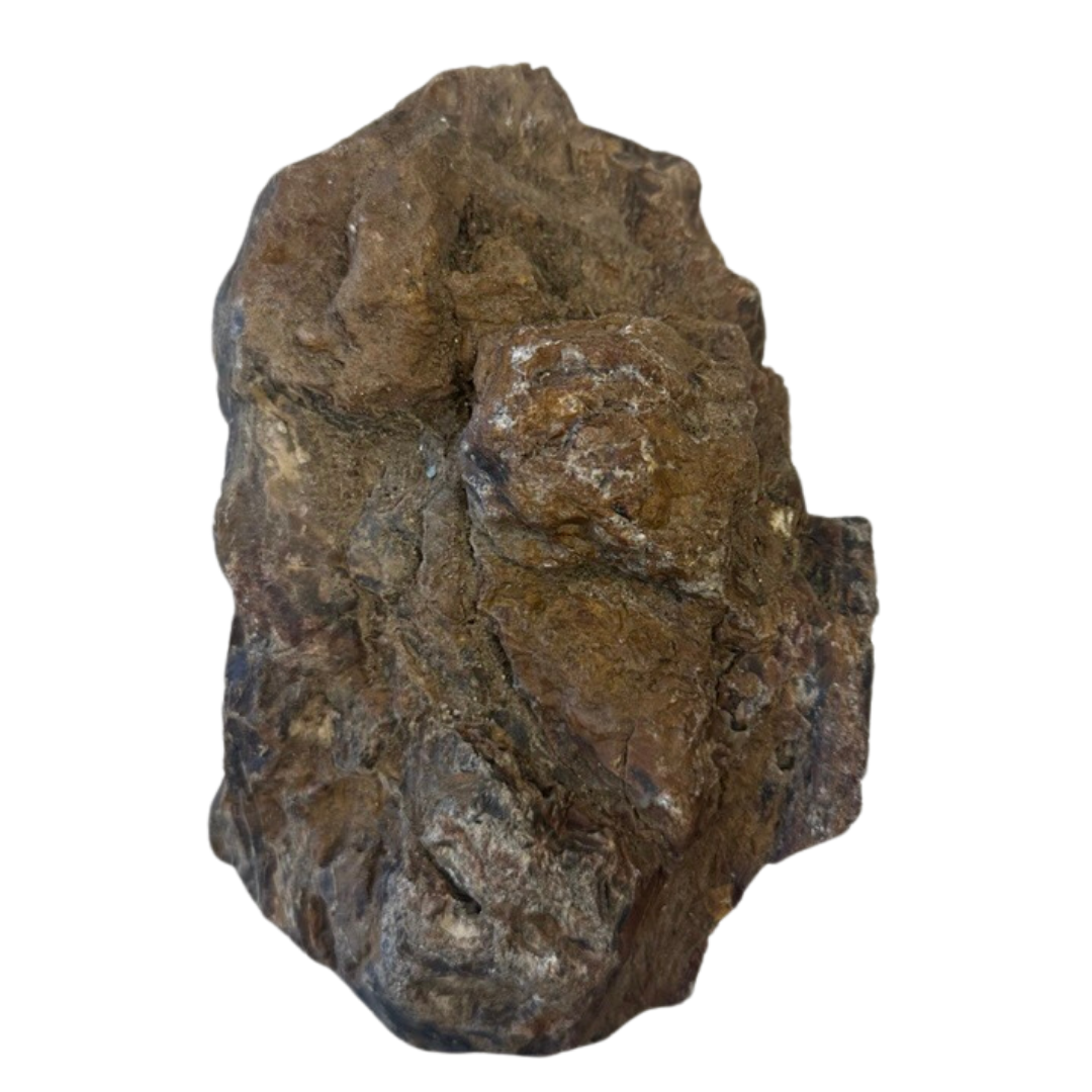 The Petrified Wood Relic is a dense, solid piece with rugged texture, natural cracks, ridges, and varied brown and gray hues—showcasing the ancient beauty of irregularly shaped petrified wood.