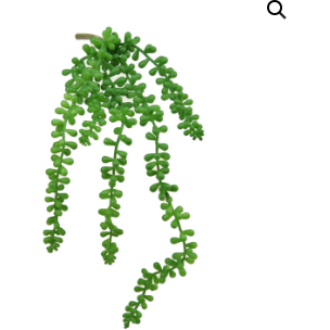The image shows a Green Sedum Spray, featuring sprigs of green succulent plants with small, thick, oval leaves arranged in pairs along trailing stems. The plant appears to be a type of trailing succulent commonly referred to as "Burro's Tail" or "Donkey Tail." The background is plain white.