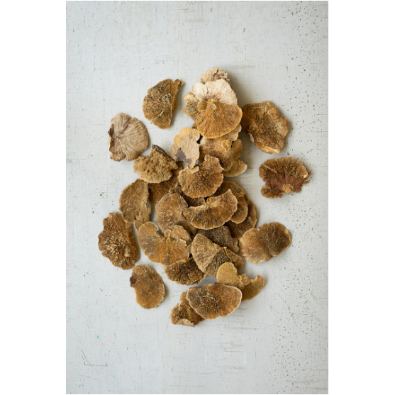 A pile of Dried Sponge Mushroom Filler with rough, uneven brown surfaces lies on a light, textured background. Varying in size and shape, these are ideal as unique bowl or vase fillers for natural-inspired decor.