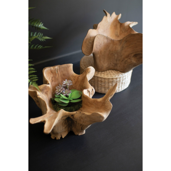 Two Teak Root Bowls, expertly crafted with irregular, wavy edges, are set on a dark surface. One distinctive bowl gently holds small green succulents and purple flowers nestled in moss. The other, larger bowl is positioned atop a woven basket. In the background on the left, a fern frond can be seen.