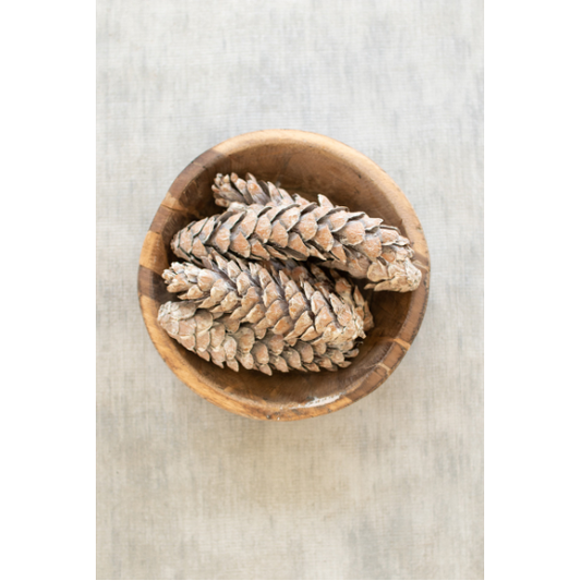 Brandy Bag of Frosted White Strobus Pine Cones