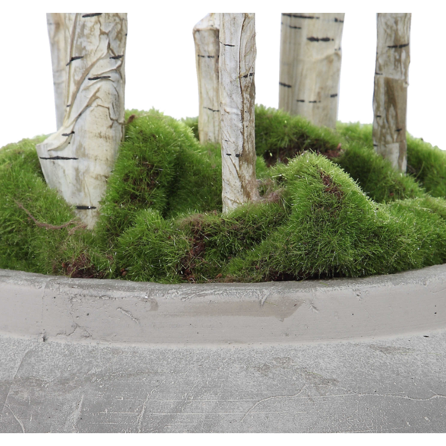Close-up of the Potted River Birch Tree, featuring tall, slender faux trunks in a round gray concrete planter with green moss. This arrangement brings a natural woodland effect and modern design to any space.