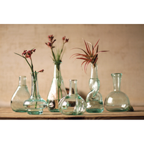 A set of six elegant Glass Bud Vases, each uniquely designed with different shapes, showcases pink flowers and air plants on a wooden surface, complemented by a neutral textured wall in the background.