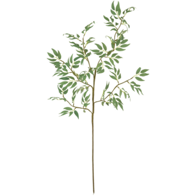 Stem #3436
