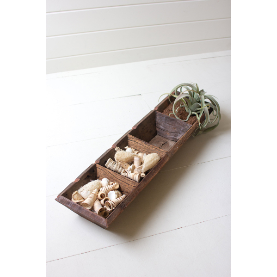 This Recycled Wood Tray is a rustic, eco-friendly decor piece featuring five horizontally arranged compartments on a white surface. Each compartment holds assorted natural items including shells, wood pieces, small brushes, and a vibrant green air plant. In the background are white horizontal wooden planks.