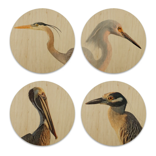 The Shorebirds Wood Coasters set includes four beige maple wood coasters with circular illustrations of birds: a heron with a long orange bill, and other detailed bird depictions. Each bird is isolated in its own circle and the set comes with an elegant wooden holder.