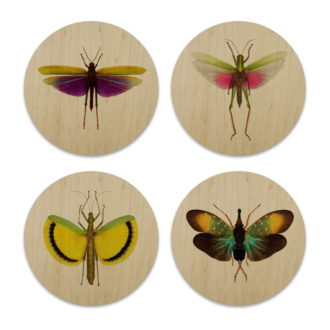 The Insects Wood Coasters set features four circular maple coasters with vibrant grasshopper designs: top left is purple and yellow, top right is pink and green, bottom left is yellow and green, and bottom right showcases green with bronze wings on a light wood grain background.