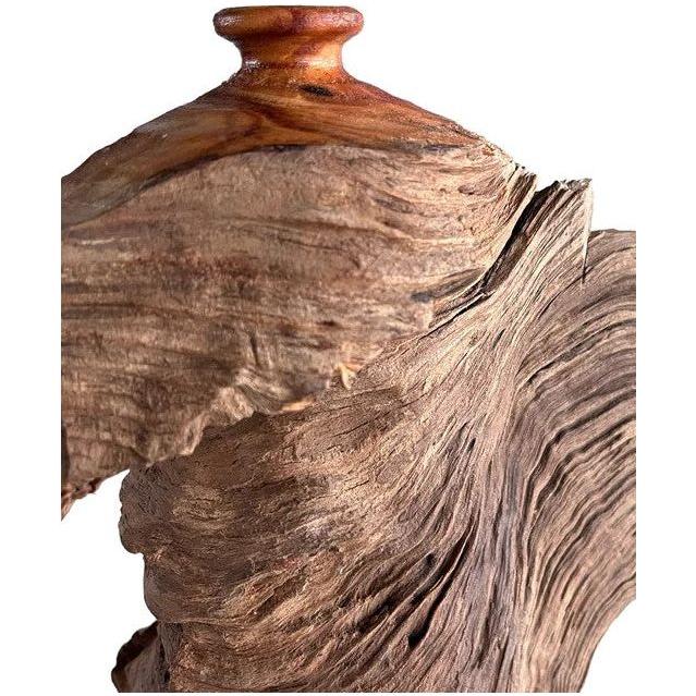 Close-up of a hand-carved wooden sculpture with natural, wavy grain patterns. The wood appears weathered, showcasing intricate ridges and grooves. The top of the sculpture has a smoother, polished finish with a rounded, knob-like extension, reminiscent of a Cloud Vase, creating a contrast with the rougher surface below.