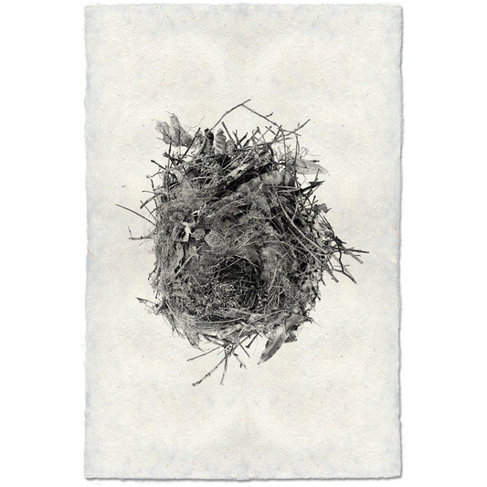 Nest (13)