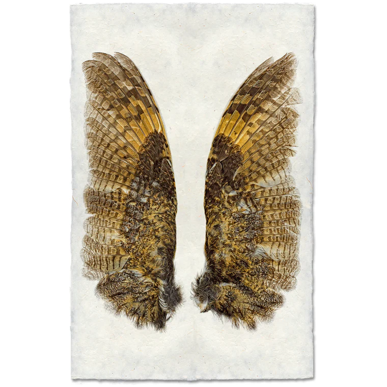 A pair of Owl Wings with brown, black, and golden yellow feather patterns are displayed open side by side on a textured off-white background resembling handmade Nepalese paper.