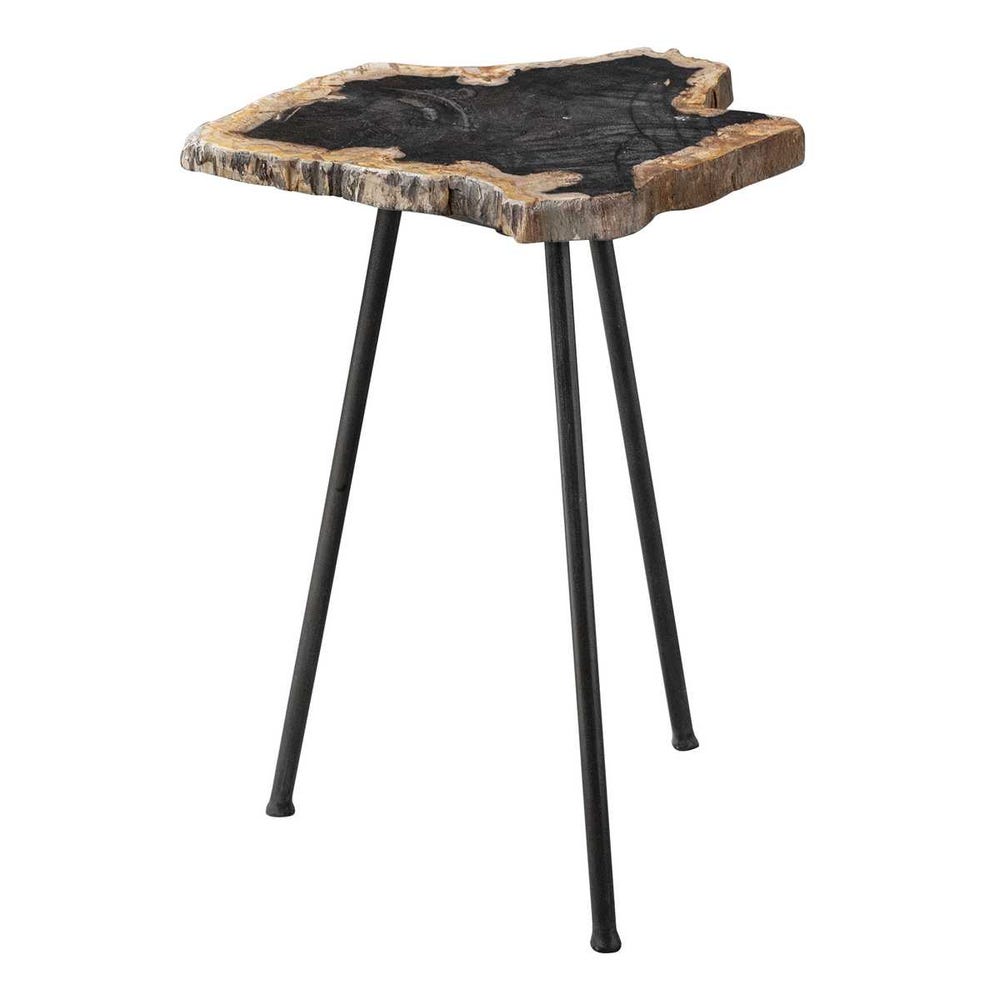 Mercy Petrified Wood Accent Table
