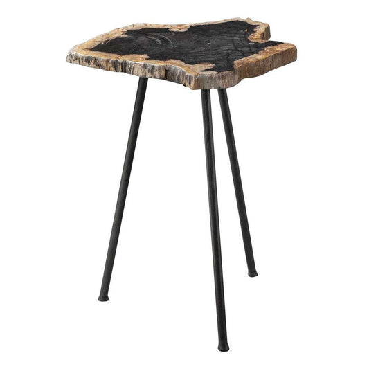 Mercy Petrified Wood Accent Table