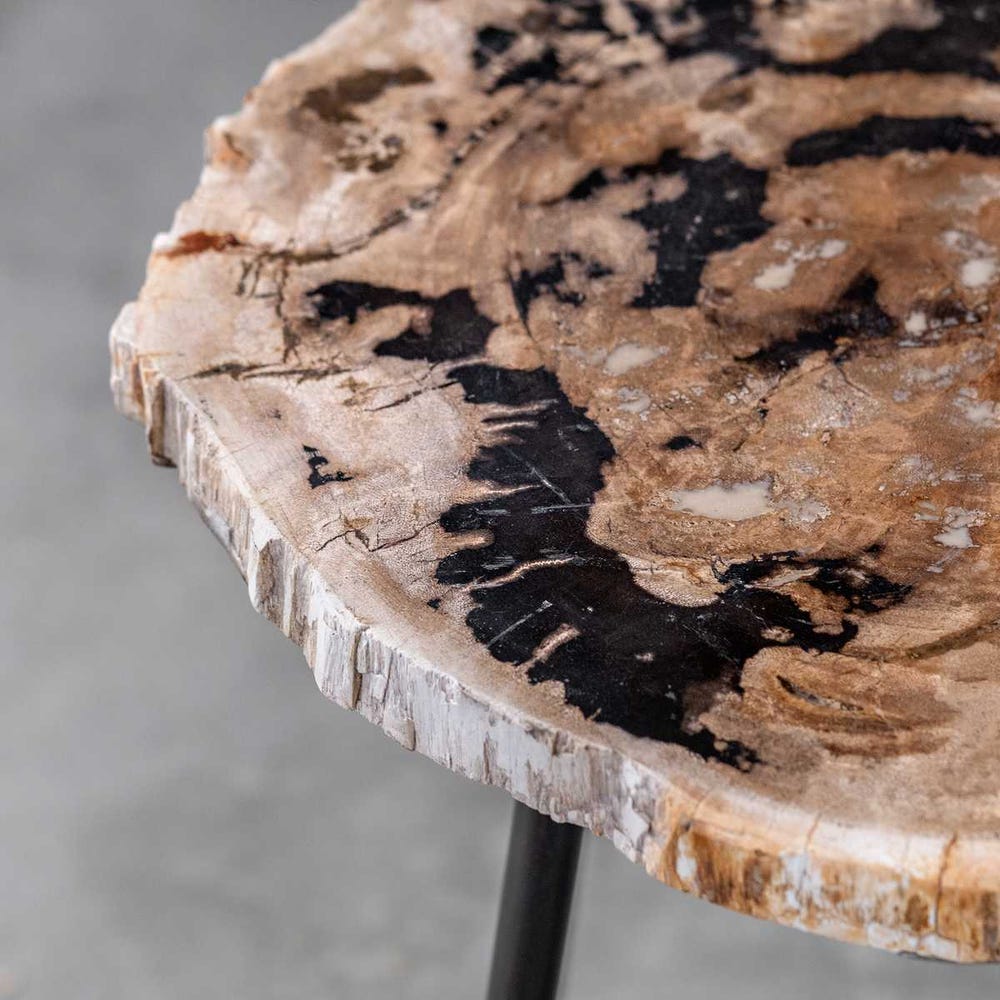 Mercy Petrified Wood Accent Table