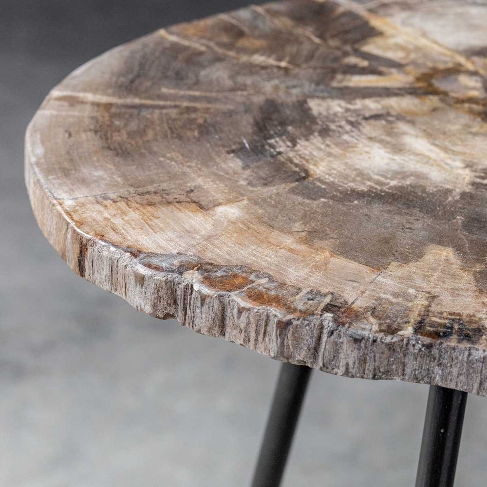 Mercy Petrified Wood Accent Table