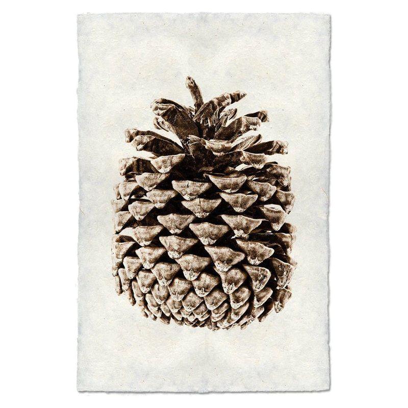 The Grand, Ponderosa Pine art piece features a detailed illustration of a pine cone, set against a textured white background that evokes the essence of vintage botanical art. Printed on 100% cotton rag, it captures the rich brown color and intricate scales of the pine cone with archival quality, highlighting its natural patterns and textures beautifully.