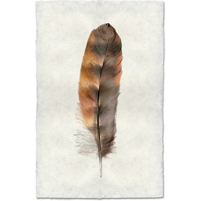 A Rooster Feather stands vertically against a textured off-white background, resembling handmade Nepalese paper. Its light brown, dark brown, and black stripes create a natural and rustic appearance, making this image uniquely captivating.