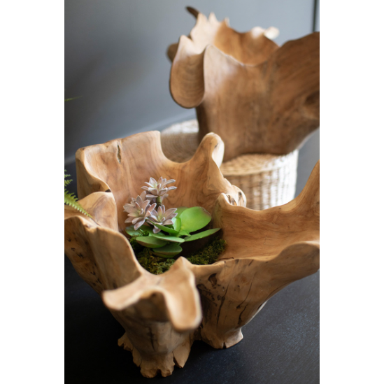 Two Teak Root Bowls with wavy edges rest on a dark surface. One distinctive bowl cradles a small succulent plant nestled in moss, while the background bowl is empty and perched atop a woven basket, creating a striking contrast against the dark surface that highlights the natural tones of these handcrafted pieces.