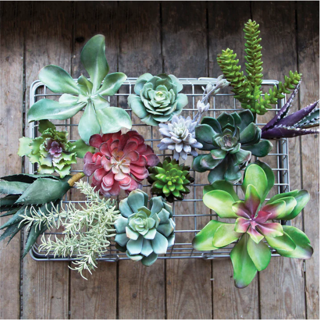 A top-down view of a collection of vibrant, diverse Succulents arranged in a rectangular metal basket on a rustic wooden surface. Priced individually, the Succulents vary in color and shape, with shades of green, red, and purple, displaying a rich variety of textures and patterns.