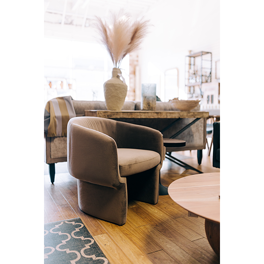 A cozy living room setup featuring a James Velvet Accent Chair and a wooden coffee table, with a vase holding tall pampas grass on the table. The background shows rustic shelves with various decorative items.