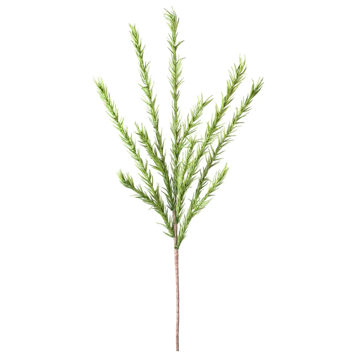 A single sprig of Desert Pine, measuring 45 inches long, features multiple slender branches with needle-like leaves set against a white background. The vibrant leaves spread out in various directions, highlighting the natural texture and shape of this herb-inspired decor piece.
