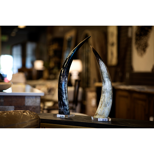 Two Cow Horn on Base sculptures, made from natural cow horn and available in three sizes, are set on clear acrylic bases on wood. One horn is dark, the other light. An elegant curve with a blurred background of wooden furniture and abstract art enhances the warm ambiance.