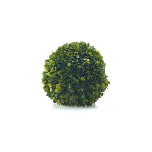 This Boxwood Sphere, crafted with dense small leaves, captures a sophisticated charm in its round, lush green form. Its even shape and vibrant color give it the appearance of a neatly trimmed decorative shrub, exuding timeless elegance against a plain white background.