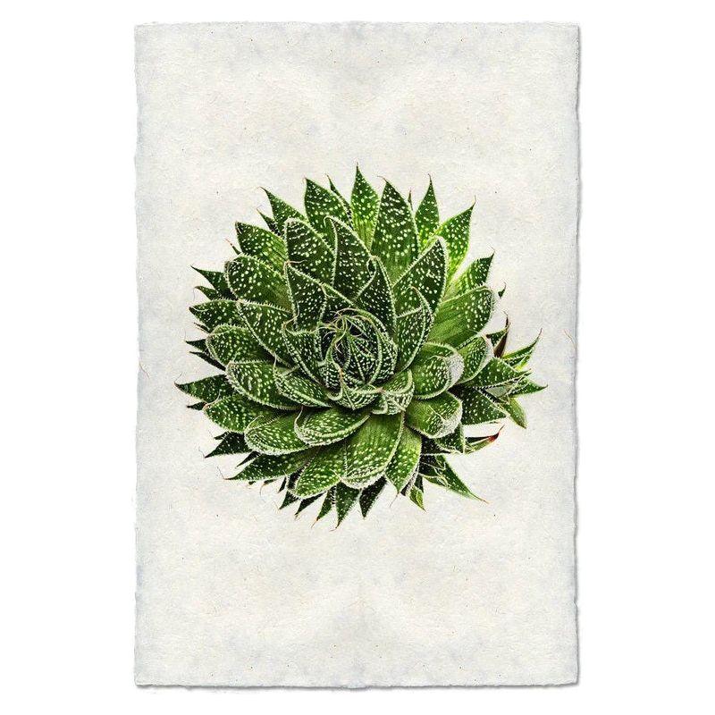 An Aloe Aristata (10), characterized by a vibrant green hue and white speckles, adorns the center of a textured, off-white handmade paper from Nepal. The plant's rosette pattern features layered, pointed leaves extending outward, forming a symmetrical and striking design against the plain backdrop.