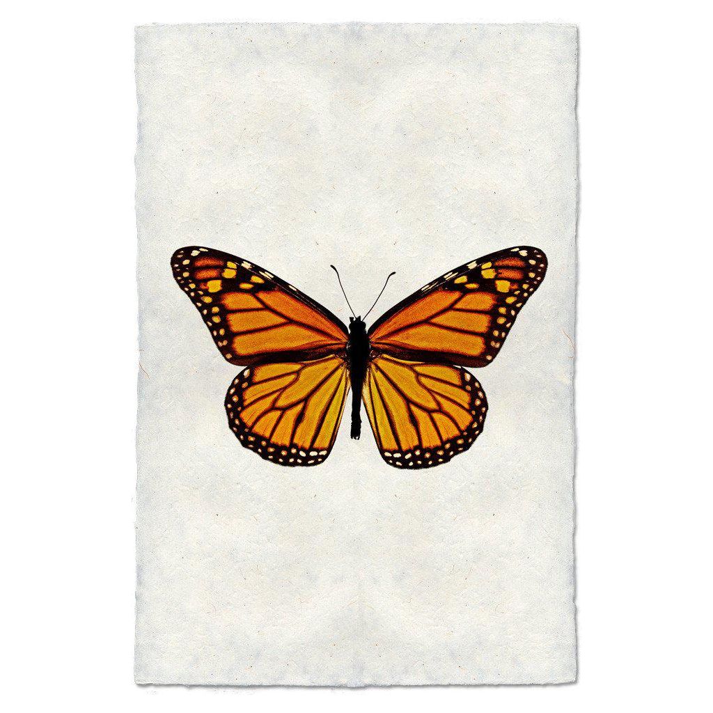 Butterfly (13)