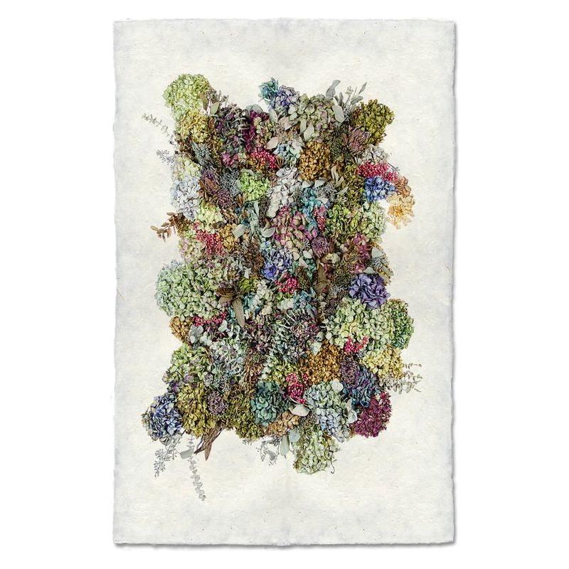 A textured artwork featuring a dense cluster of dried, multicolored hydrangea flowers arranged on a rectangular piece of rough-edged handmade paper from Nepal. The Collective Hydrangeas range in colors from green, blue, and purple to pink, yellow, and brown, creating a rich, vibrant tapestry of unique images.