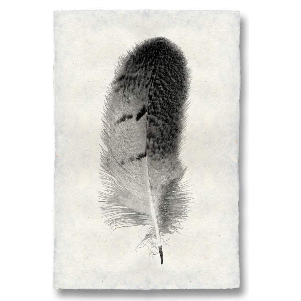 A detailed black and white image of a single Feather, Owl against a textured, off-white background, reminiscent of handmade paper from Nepal. The feather has a darker base and lighter tip with intricate patterns and fine barbs revealed clearly, showcasing its delicate structure.