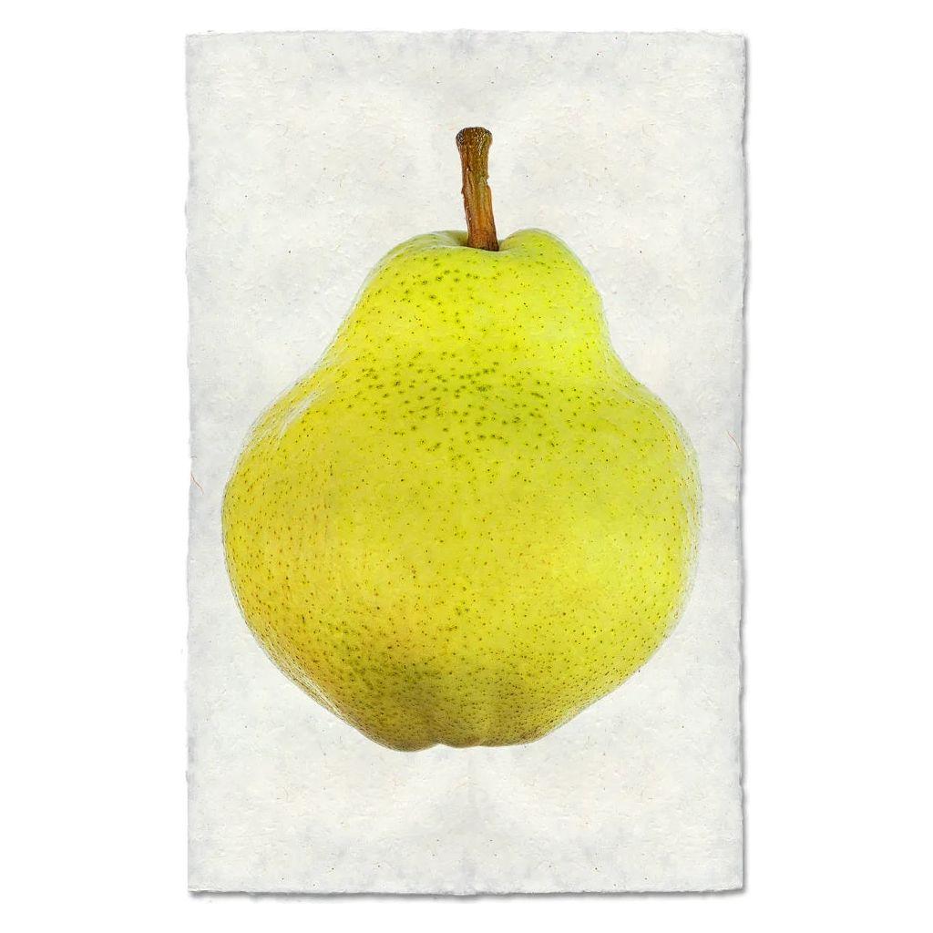 A Pear, ripe and yellow-green with a brown stem, is positioned on an off-white textured surface crafted from handmade paper from Nepal. Speckled with small dark spots, the centrally placed Pear showcases its smooth and plump shape, resulting in unique images that encapsulate the essence of artisanal beauty.