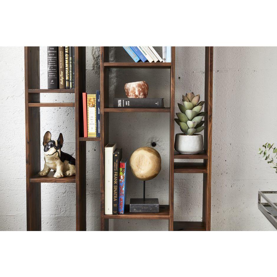 A wooden bookshelf stands against a white textured wall, showcasing "Fred the Dog" figurine, a globe, books with black and colorful spines, a round stone, and a potted succulent. The stone and plant provide natural accents to the decor.