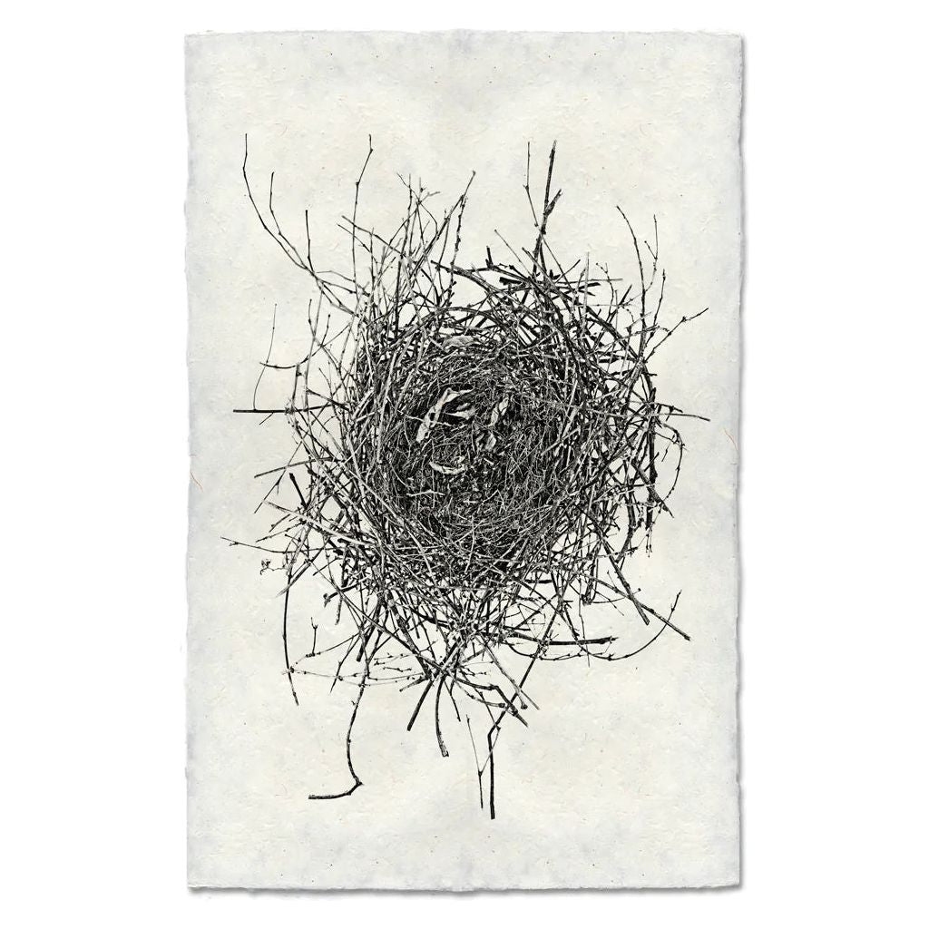 Nest (16)